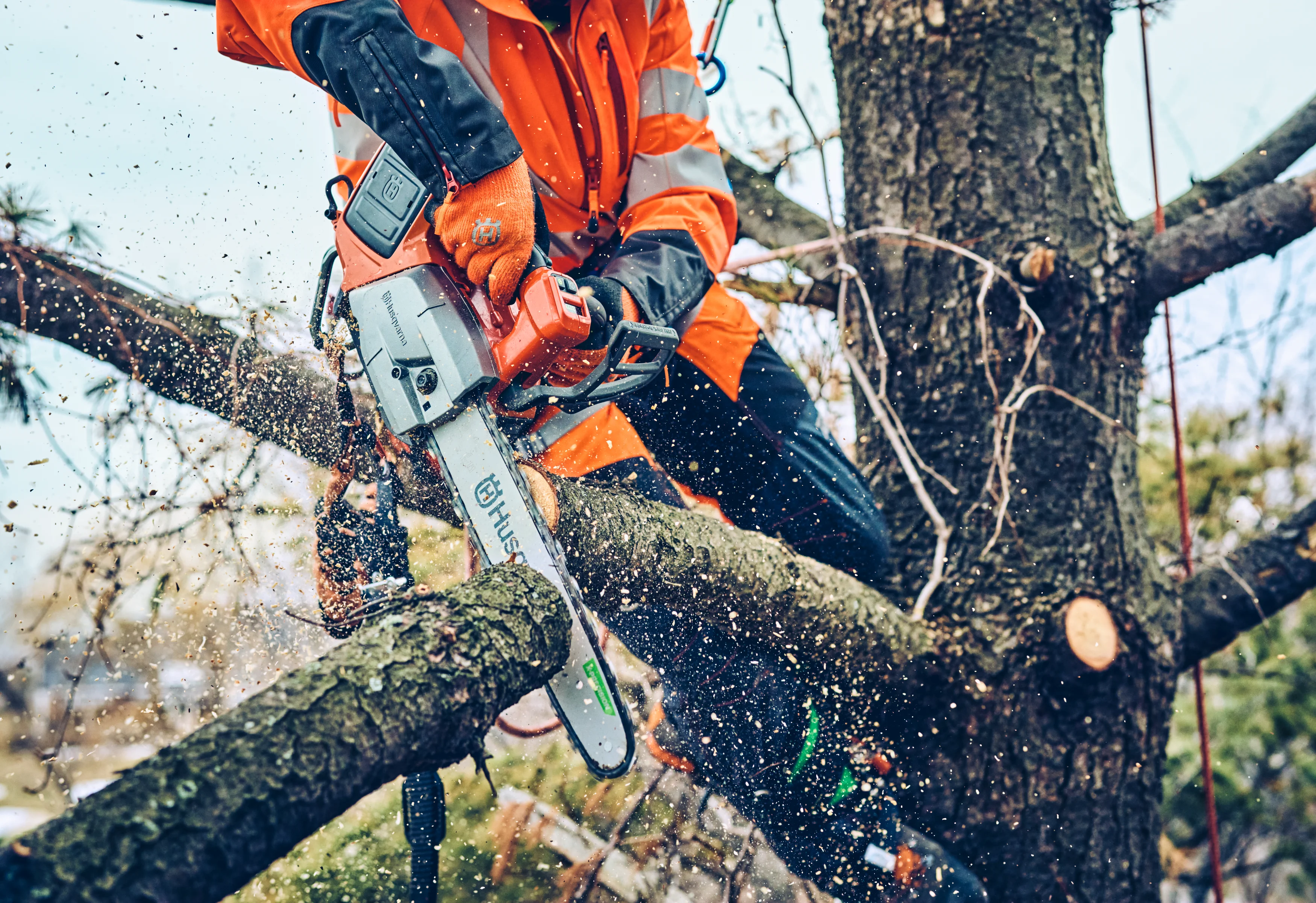Nahaufnahme eines Baumpflegers beim Durchtrennen eines Astes im Baum mit einer Husqvarna T542i XP Akku-Tophandle-Motorsäge.