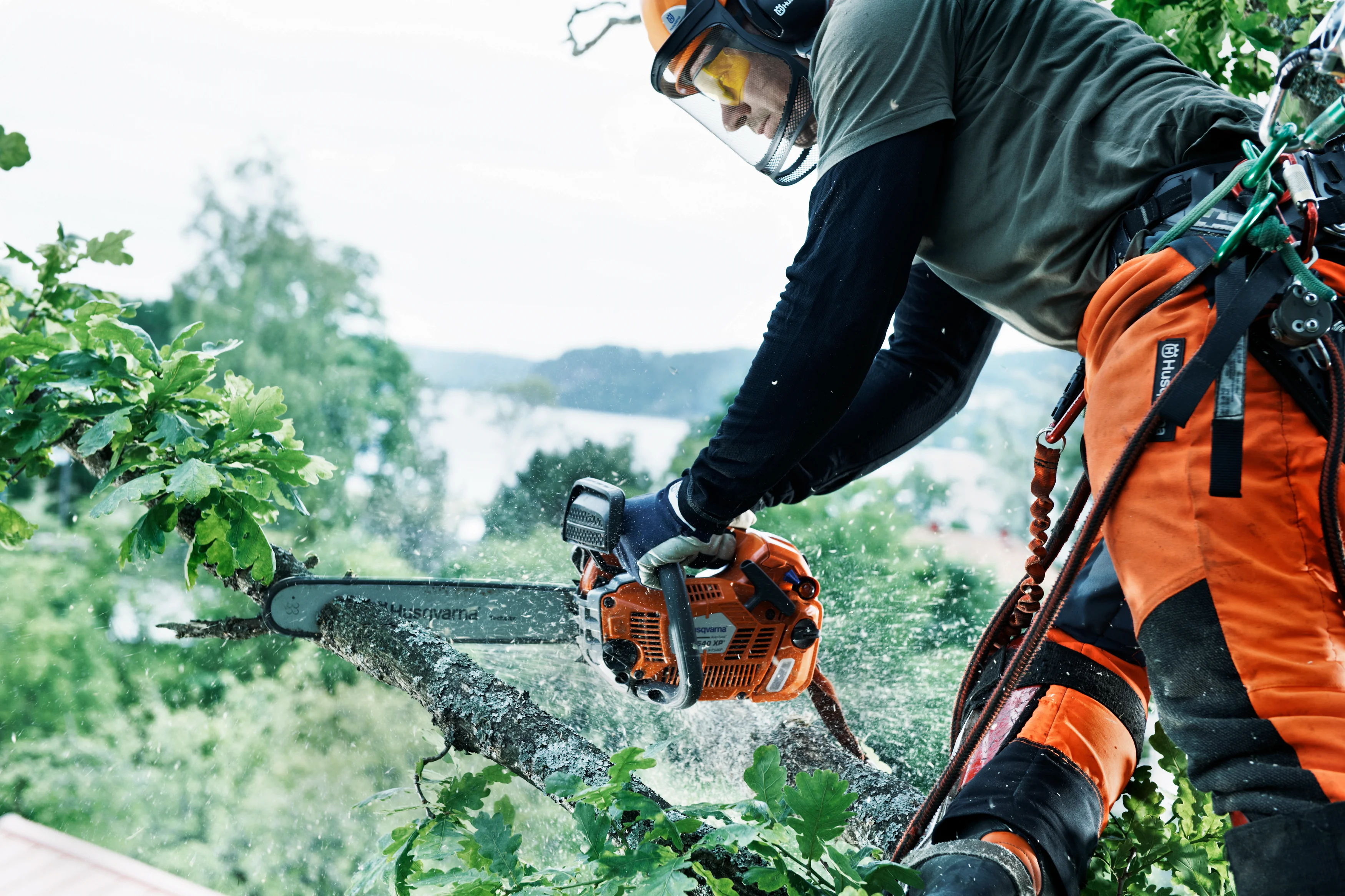 Baumpfleger führt mit der Husqvarna T540 XP Mark II Top-Handle-Säge einen Astschnitt in der Baumkrone aus.