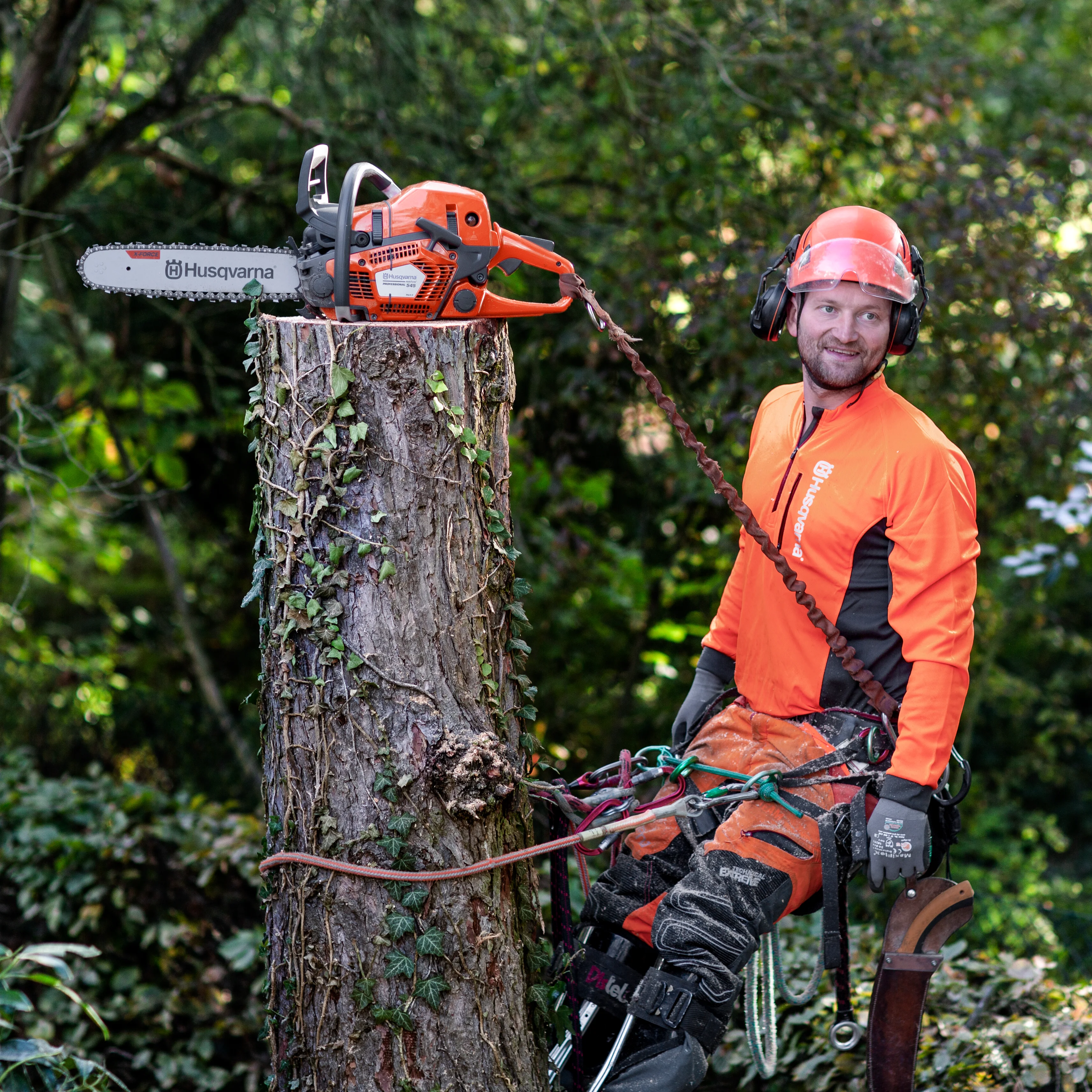Ein Baumpfleger in orangefarbener Warnkleidung, Helm und Klettergurt steht neben einem mit Efeu bewachsenen Baumstumpf. Auf dem Stumpf steht eine Husqvarna 545 Mark II Motorsäge.