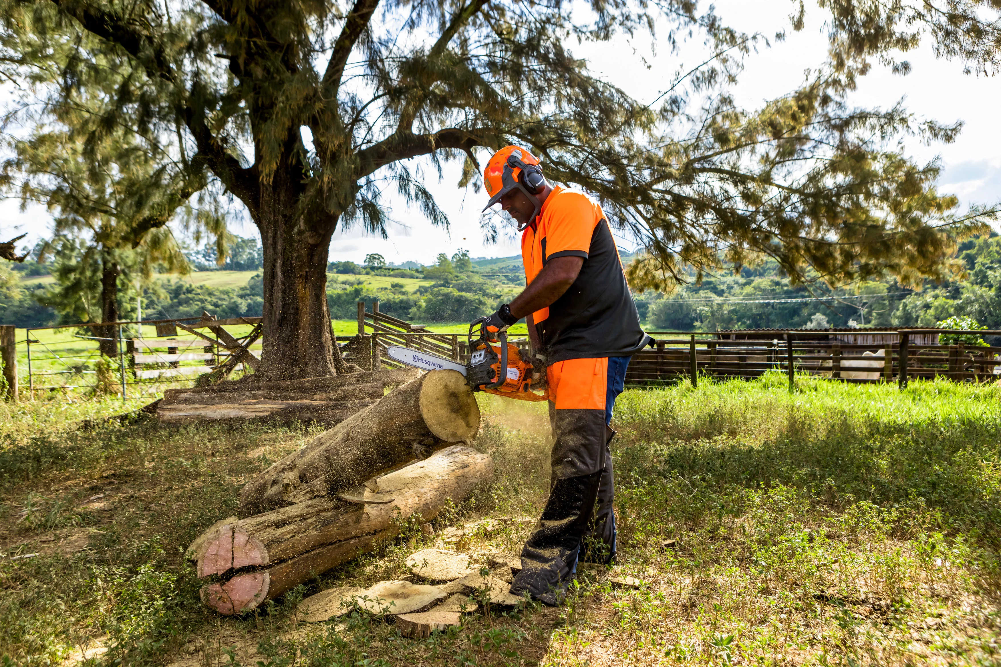Mann in orange-schwarzer Schutzkleidung sägt im Freien mit einer Husqvarna 135 Mark II Kettensäge einen Holzstamm durch.