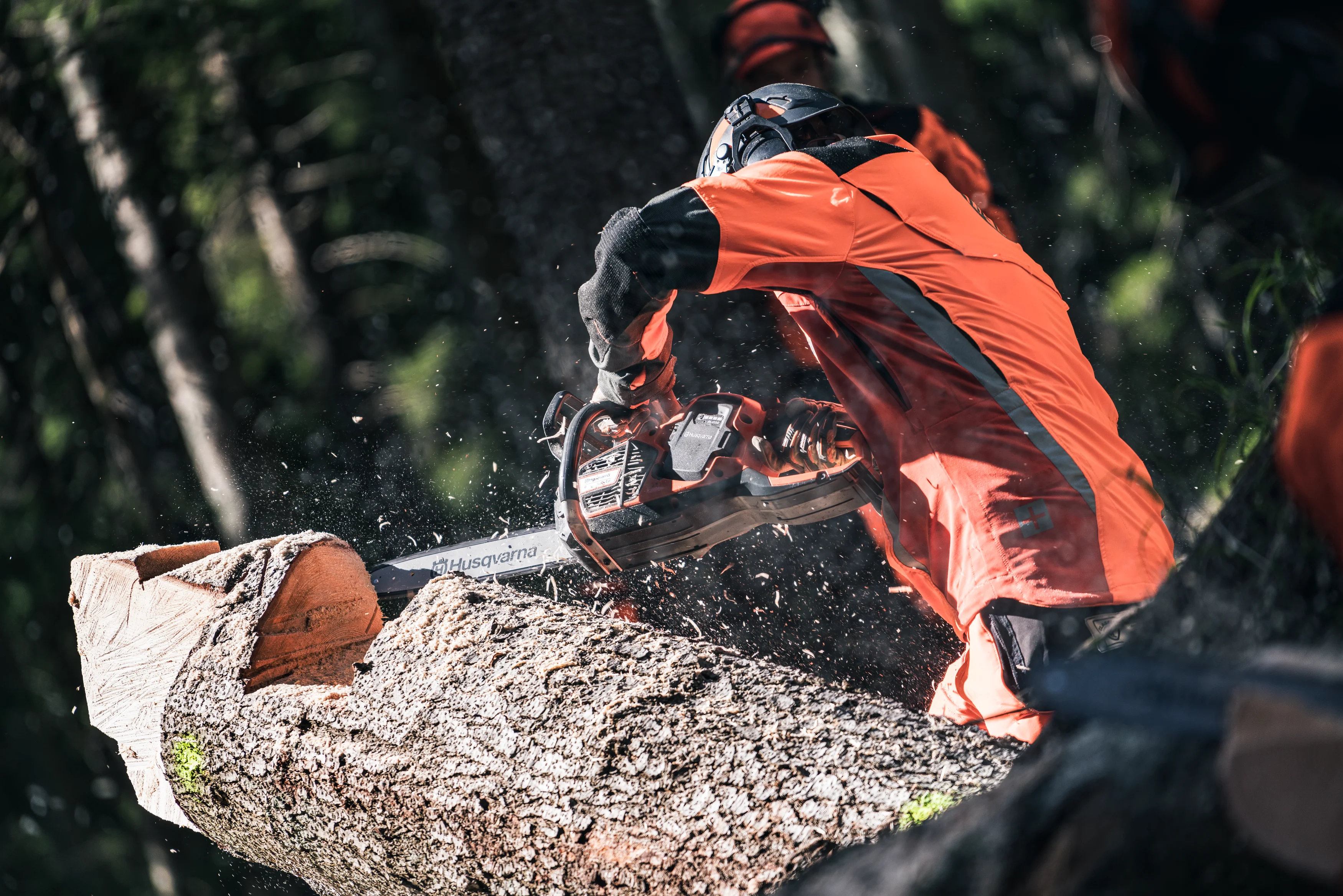 Anwender in Schutzkleidung sägt mit der Husqvarna 540i XP Akku-Motorsäge fliegende Sägespäne erzeugend an einem dicken Holzstamm im Wald.