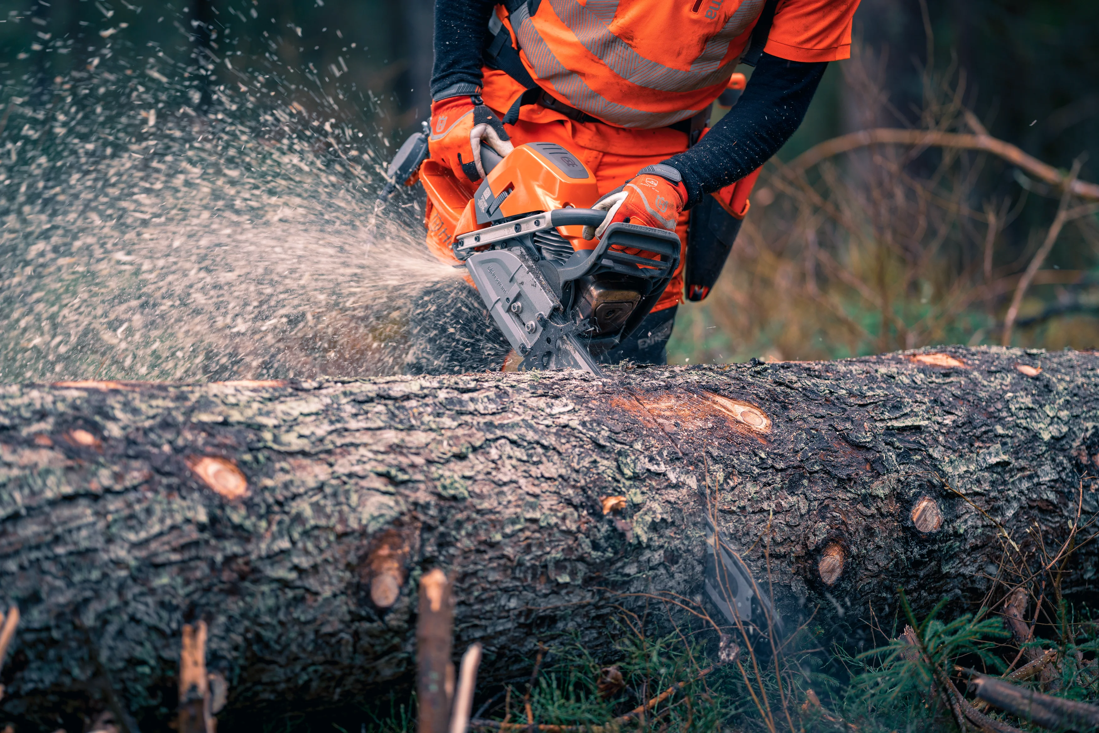 Forstwirt arbeitet mit der Husqvarna 592 XPG Motorsäge mit 24-Zoll-Schwert an einem dicken Baumstamm im Wald.