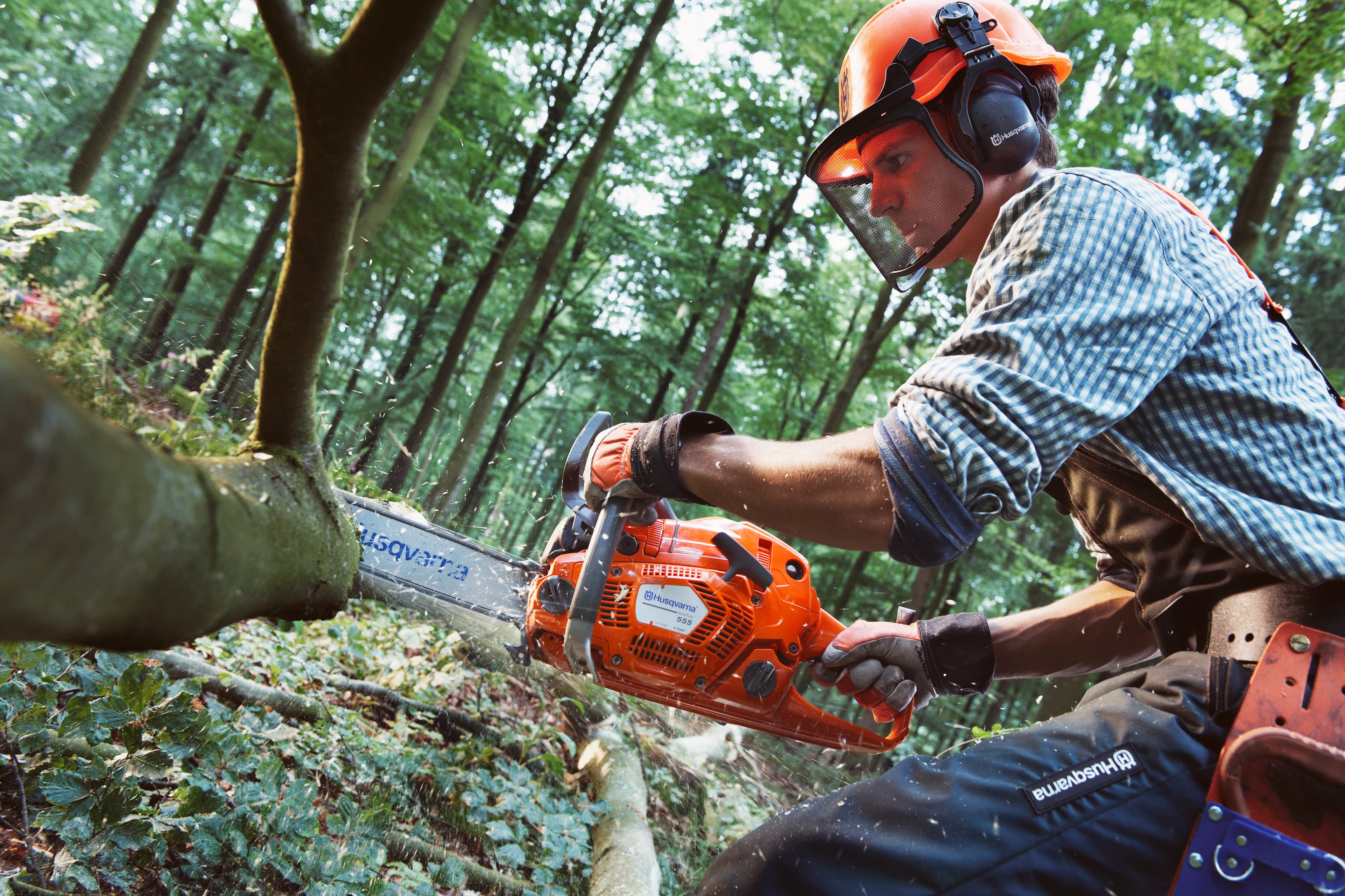 Forstwirt mit Schutzausrüstung und Helm sägt mit einer Husqvarna 555 Motorsäge Äste im Wald ab.