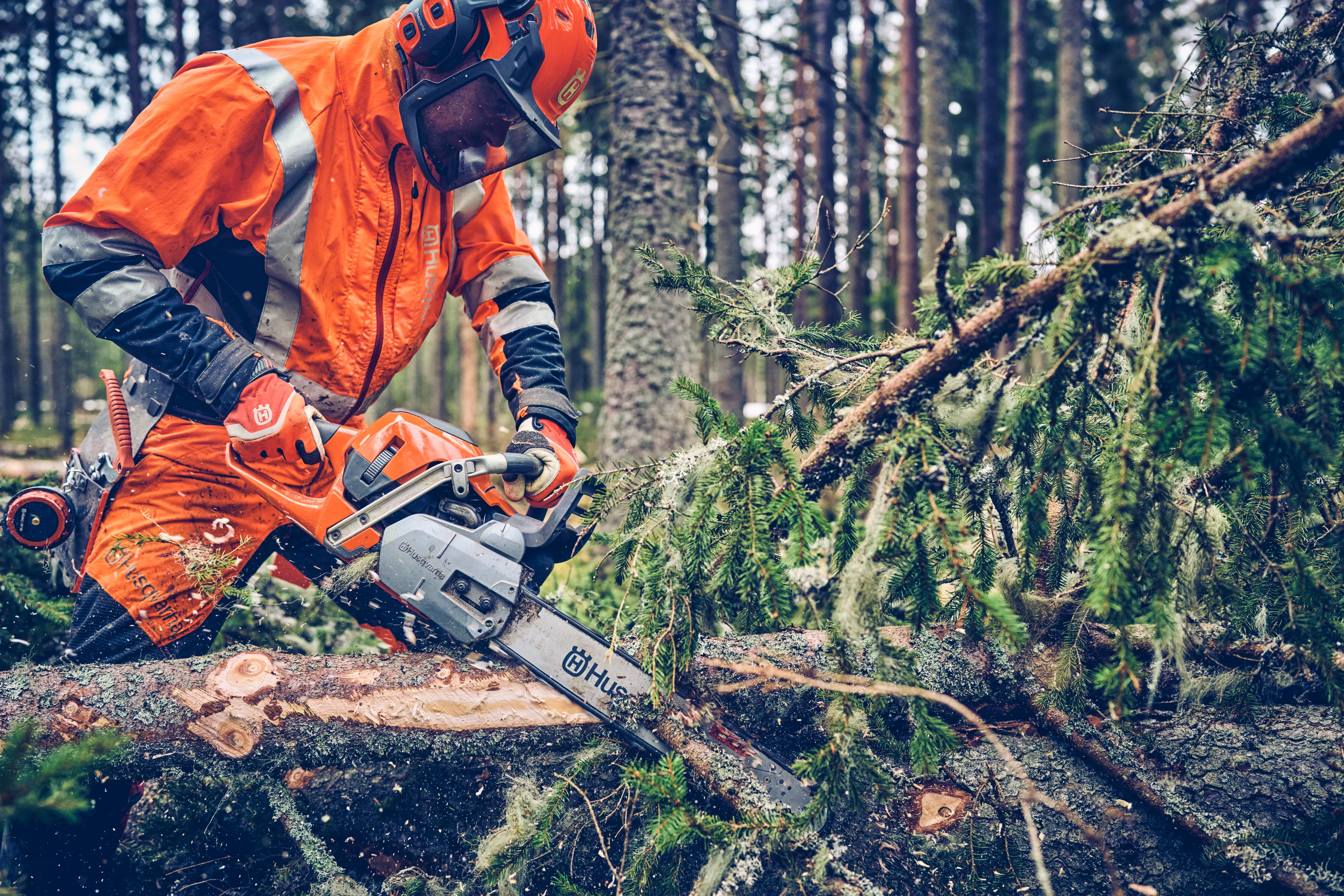Waldarbeiter in orange-grauer Sicherheitskleidung schneidet dichte Äste von einem Baumstamm im Wald ab.